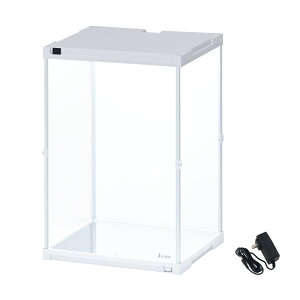 y LED ʃ~[ z tBMAP[X uvJbg RNVP[X ςݏd AN NA fBXvC  [ {bNX l`P[X V[P[X WP[X  