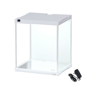 y LED ʃ~[ z tBMAP[X uvJbg RNVP[X ςݏd AN NA fBXvC  [ {bNX l`P[X V[P[X WP[X  