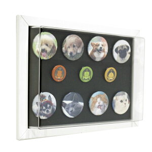 ʃobW̐V WALLEIT ʃobW Ǌ| RNVP[X fBXvCP[X UVJbg EH[Cbg ʃob` [ A4 z zb`LX  ʃobWP[X 