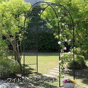 180 250̑^TCY ACAA[` _[NO[ o K[fA[` [YA[` A ACA   CObVK[f Ch L