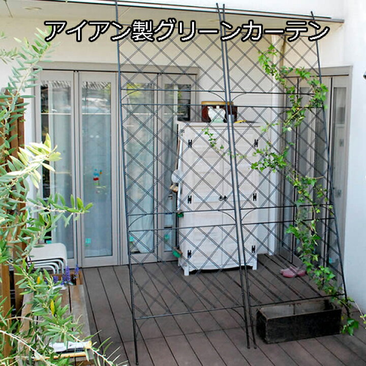 楽天市場 立てかけるだけ アイアン製 グリーンカーテン アーガイル 送料無料 ガーデンフェンス ハイタイプ ゴーヤネット 支柱 網目 おしゃれ アンティーク ベランダ 日よけ 目隠し 庭遊び 庭あそび ｓｅｍｉ ｓｔｙｌｅ