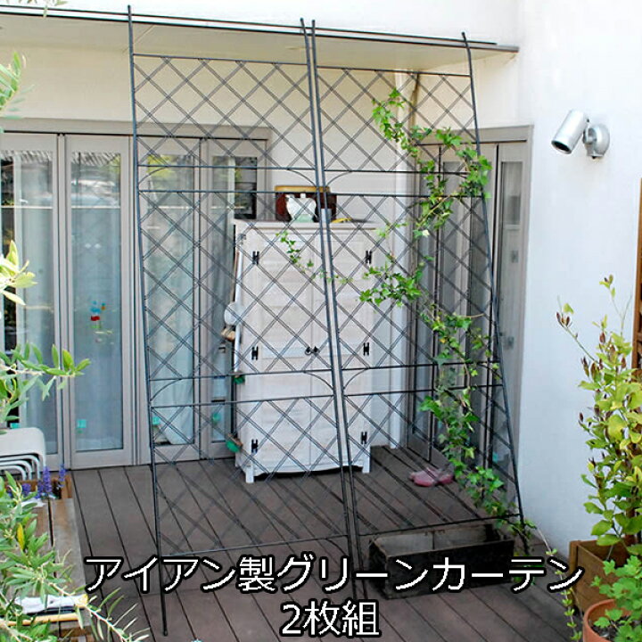 楽天市場 立てかけるだけ アイアン製 グリーンカーテン アーガイル 2枚組 送料無料 ガーデンフェンス ハイタイプ ゴーヤネット 支柱 網目 おしゃれ アンティーク ベランダ 日よけ 目隠し 庭あそび 庭遊び ｓｅｍｉ ｓｔｙｌｅ