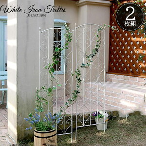 ACAgX K[ftFX H147 2g ACAtFX AeB[N zCg  Vr? eBX  KN A[` x 킢 Be[W  K[fjO GNXe