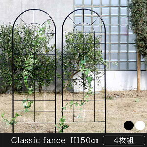 nʂɎh NVbNtFX 150 [^Cv 4g ACA gX AeB[N  eBX K[ftFX K[fjOtFX GNXeA ubN zCg yO