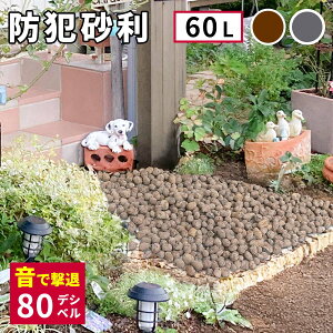 y5160Si5%OFFN[| z ȗő傫Ȍx Z~bN hƍ 60L h  Av[` ~ h  GNXeA Ƃ̎   ԏ 