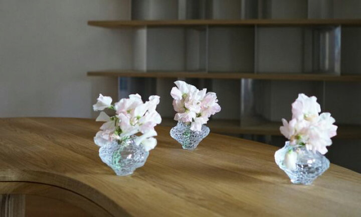 楽天市場】フラワーベース Canyon Vase Mini クリア（Hein Studio 
