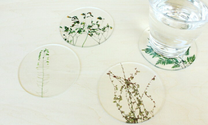 楽天市場 コースター 押し花コースター Oshibana Coaster Tomei トウメイ おしゃれ セット かわいい 花 フラワー透明 クリア 箱 桐箱 テーブルウェア キッチン 可愛い 結婚祝い 新生活 雑貨 ギフト プレゼント 贈り物 お祝い 引出物 Sempre インテリア家具 雑貨 楽天市場 コースター 押し花コースター Oshibana Coaster Tomei トウメイ おしゃれ セット かわいい 花 フラワー透明 クリア 箱 桐箱 テーブルウェア キッチン 可愛い 結婚祝い 新生活 雑貨 ギフト プレゼント 贈り物 お祝い 引出物 Sempre インテリア家具 雑貨