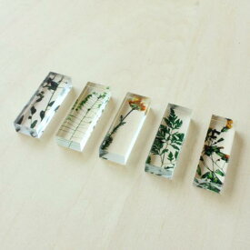 楽天市場 押し花 キッチン用品 食器 調理器具 の通販