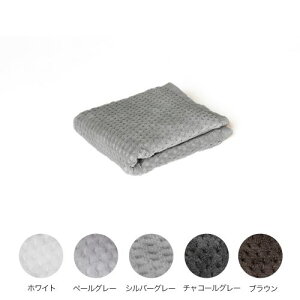 n[tJbg^I EHbV^I (t@Co[A[gXe[fBI)ysiz