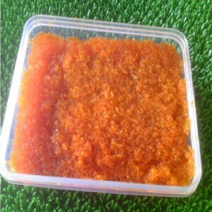 v`v` Ƃтqݖ(500g)y05P03Dec16z