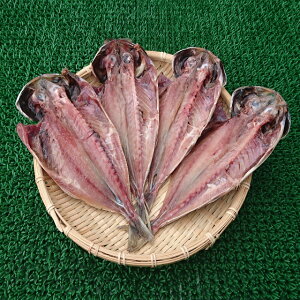 AWJ銱4ܔy05P03Dec16z