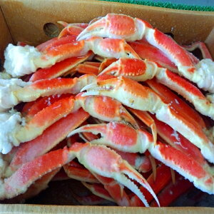 󂠂聟{CYCJj(5kg)Ɩpy05P03Dec16z