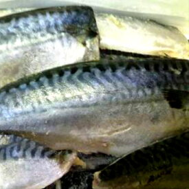 楽天市場 サバ 総重量 水産物 2 0 2 9kg 魚介類 水産加工品 食品 の通販
