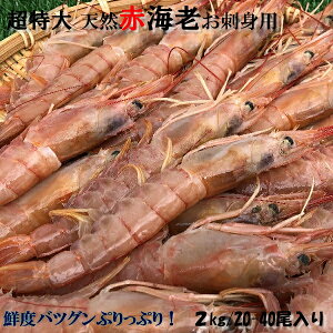 @ԃGr@hgpL1@20`40@(2kg)y05P03Dec16z