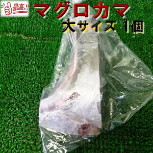 Y@TCY1}OJ}Ղy05P03Dec16z