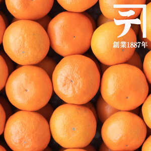 ʎ瑍 ỈB݂ wLc̋ɂ݃RNƂ݂xΕ ݂ 蕨