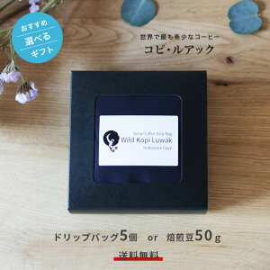 MtgZbg@R[q[@̃R[q[@RsEAbN@RsAN@50g@@󏭁@WRElR@erŘb@Mtg@@̂@