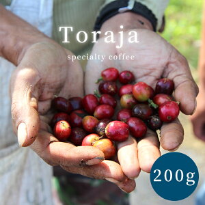 �g���W���R�[�q�[ 200g ���@�X�y�V�����e�B�@�󏭁@�����@���[����@���[���֑������� ������s��