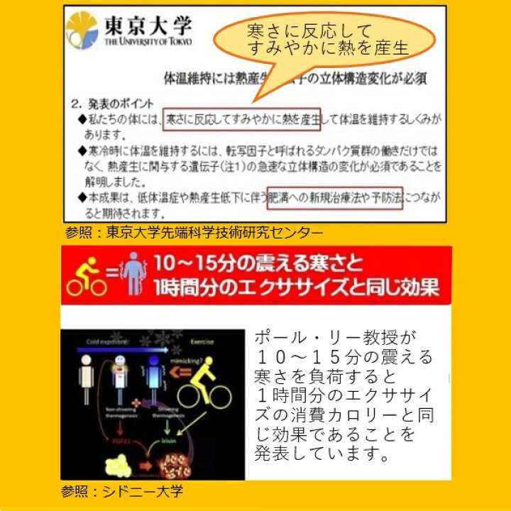 楽天市場 肩甲骨 猫背矯正器具 背中クールタイ L は肩甲骨の周りにある褐色脂肪細胞とが重なり正しい姿勢を意識して猫背矯正ながら解消 背中で ダイエット ミトコンドリアも増えスタミナアップ 暑い時には暑さ対策 グッズにも利用できます 条件付き送料無料 魔法