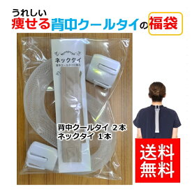 福袋 おもしろ 日用品 一石二鳥 瘠せるグッズ 暑い時 汗対策 暑さ対策グッズ 「背中クールタイ」2本と「ネックタイ」1本のお得なセット 背中冷却 ミトコンドリア サプリ でなく ためしてガッテン 脂肪燃焼 ダエット器具 ミトコンドリア 即効果 オリジナル品 送料無料