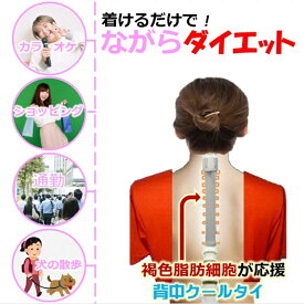 痩せる 機能引き出す 健康グッズ 背中クールタイ着けるだけで 背中冷却 褐色脂肪細胞 脂肪熱に代謝する働き ながらダイエット ハコカラ カラオケ お買い物 ショッピング 通勤 犬の散歩 運動 外仕事 自宅 家事 活動 消費カロリー 有酸素運動 2倍 同効果 魔法のダイエット器具