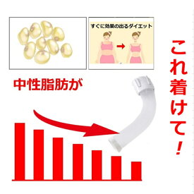 着けるだけ 肩甲骨 ストレッチ 正しい姿勢しながら 背中 瘠せる脂肪 冷却 するダイエット器具 魔法の背中クールタイ 自宅 運動 通勤 在宅勤務 家事 カラオケ 買い物 ながらダイエット 速やかに燃焼するエビデンス ミトコンドリアの働き 背中痩せ オリジナル品 健康グッズ