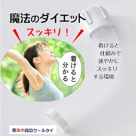 これ着けて 魔法のダイエット 交感神経 痩せる仕組 を引き出す ダイエット器具 背中クールタイ 褐色脂肪細 寒冷刺激 ながらダイエット 食事制限 キツイ運動なし即効果 7kg 15kg 健康的 背中痩せ 基礎代謝上げ 体重落とす 内臓脂肪 ぽっこり お腹周り 引き締め 健康グッズ
