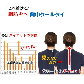 コレ背中に着けると 褐色脂肪細胞 交換神経 痩せる仕組み引き出し 脂肪を熱に代謝 有酸素運動2倍と同じ効果 ダイエット器具 背中クールタイ 筋トレ なし お腹周り ぽっこりお腹 くびれ 下半身 太もも 引き締め スッキリ 基礎代謝 上げる器具 オリジナル品 健康グッズ