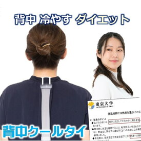 背中冷やすダイエット 肩甲骨の周り 褐色脂肪細胞 寒冷刺激 交感神経 活性化 脂肪を熱に代謝 エネルギーの消費を増やす 体の仕組みを機能させる 魔法のダイエット器具 背中クールタイ 着けると痩せる環境 即燃焼効果 ぽっこり お腹周り 下半身 引き締め 簡単 健康グッズ