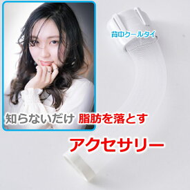 痩せるグッズ 魔法のダイエット器具 アクセサリー 背中 脂肪冷却 ながらダイエット プヨプヨ脂肪 お腹周り 脂肪を落とす 即効果 ミトコンドリア増 える スタミナアップ 基礎代謝 ファッション 雑貨 オリジナル品 「ネックタイ」と「背中クールタイ」 プレゼント