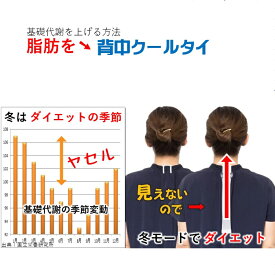 お腹周り 引き締め くびれ 下半身 瘠せる仕組み引き出す ダイエット器具 背中 脂肪冷却 基礎代謝 増える 脂肪を熱に代謝 消費カロリーを増やす 即効果 室内 カラオケ コスパ 犬の散歩 通勤通学 家事 運動 買い物 ながらダイエット 背中痩せ 痩せる グッズ 背中クールタイ