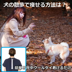 ドッグウォーク 痩せる方法ありますか？ 犬の散歩 ながらダイエット 背中 脂肪冷却 交感神経・痩せる ミトコンドリア ためしてガッテン 有酸素運動 消費カロリー 2倍 即効果 魔法の ダイエット器具 ダイエット器具 背中クールタイ 体重を落とす 肥満改善 雑貨 オリジナル品