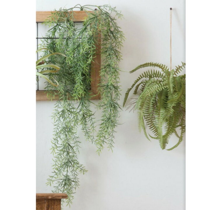 楽天市場 フェイクグリーン 人工観葉植物 アスパラガス スプレンゲラー インテリア 造花 観葉植物 デコレーション 模様替え モダンリビング ナチュラル 緑のある暮らし 装飾 北欧 ディスプレイ ショップ 開店祝い 引越し祝い ニコアンティーク