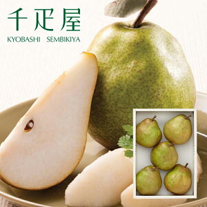 D mEtX5 yN[ցi①jz