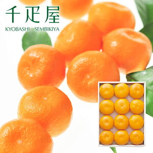 D ݂12iSTCYj yN[ցi①jz