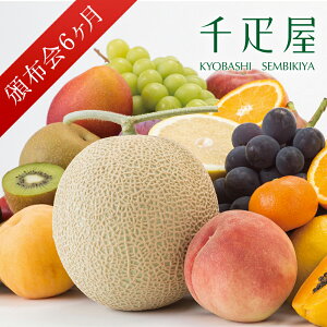 D t[cЕz BYR[X6i20,520~×6j y퉷ցz