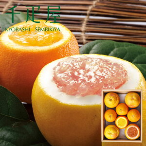 D Ɛʂ[[Zbg 8 yN[ցi①jz