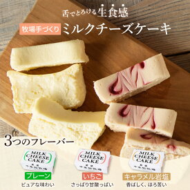 【クーポンで最大1,000円OFF！】お中元ギフト【送料無料】千本松牧場 牧場手づくり ミルクチーズケーキセット プレーン いちご キャラメル岩塩 キャラメル 那須塩原ブランド アイス ギフト 贈り物 お歳暮 スイーツ 誕生日 結婚内祝 お祝い 内祝い 御礼 バレンタイン
