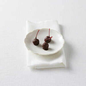 LTq \[T[ eB[Jbv \[T[ Z~bN Jg[ zCg   M |  F{ h  }\ v[g Mtg