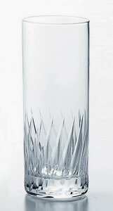 yFkCEE͕ʓr{660~z mX؁@ibNEtFU[HS 10]r[ (6Zbg) T-20101HS-2