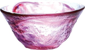 yFkCEE͕ʓr{660~z mX؁@a炷E{() @42092