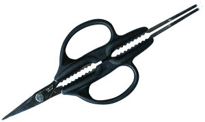 yzEBM JjtH[NnT~(1055400)