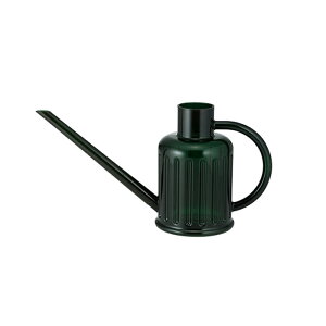 yFkCEE͕ʓr{660~z SALUS(ZCX) hX W[