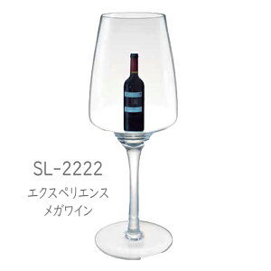 ŷ݁Eszm{NX^@-EXPERIENCE(GNXyGX)-@ SL-2222 GNXyGX KC 1