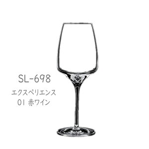 m{NX^@-EXPERIENCE(GNXyGX)-@ SL-698 GNXyGX 01 ԃC 6