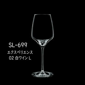 m{NX^-EXPERIENCE(GNXyGX)-@ SL-699 GNXyGX 02 CL 6