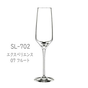 m{NX^@-EXPERIENCE(GNXyGX)-@ SL-702 GNXyGX 07 t[g 6