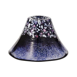 yFkCEE͕ʓr{660~z mX t xm ہ@(悴)@WA530