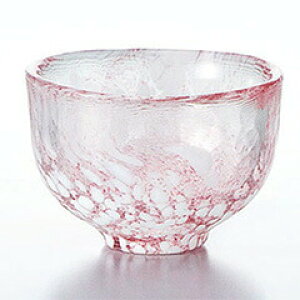 yFkCEE͕ʓr{660~z mX t ہ@WA511