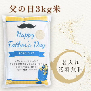 ���̓� �M�t�g ���� 3kg ������ ���b�Z�[�W���� �I���W�i���f�U�C�� �{�錧�Y�ЂƂ߂ڂ� �ꓙ�� ���p�I �H�ו� �v���[���g ����